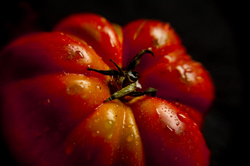 MRZ Culinary Photography - tomate-0301.jpg