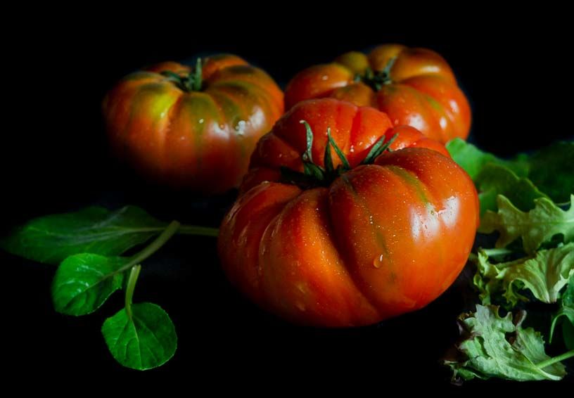 MRZ Culinary Photography - tomateslechuga-0288.jpg