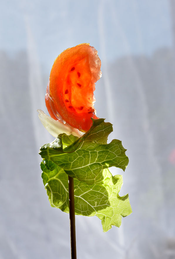 MRZ Culinary Photography - pincho-tomate-cebolleta-lechuga.jpg